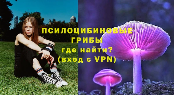 spice Арсеньев