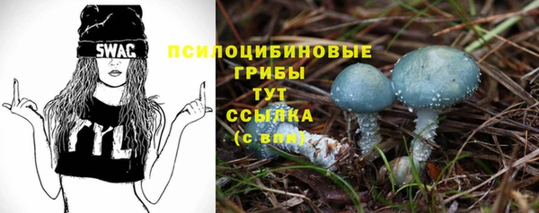 spice Арсеньев