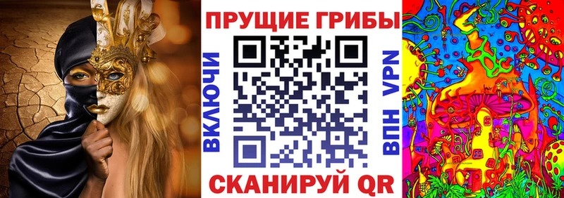 кракен зеркало  Чистополь  Псилоцибиновые грибы прущие грибы 